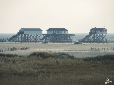 Foto Pfahlbauten am Strand von St. Peter-Ording