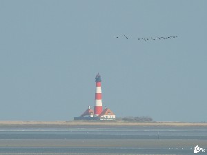 Foto Westerhever Leuchtturm